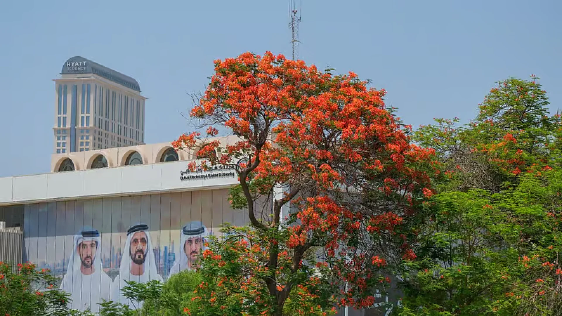 Dubais Flammenbäume: Bis zu 5°C kühler | Die Geissens Real Estate | Luxus Immobilien mit Carmen und Robert Geiss – Die Geissens in Dubai